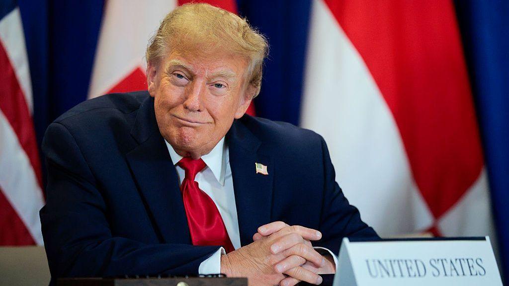 Trump’s rename of AI to super intelligence sparks a surge in Slovenian domain registrations