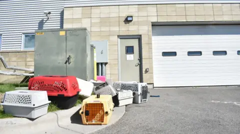 FBI Drug Disposal Incident Leaves Animal Shelter Staff Hospitalized