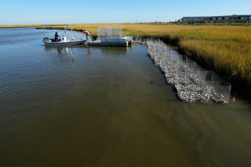 Louisiana Tribes Battle Coastal Erosion with Innovative Solutions