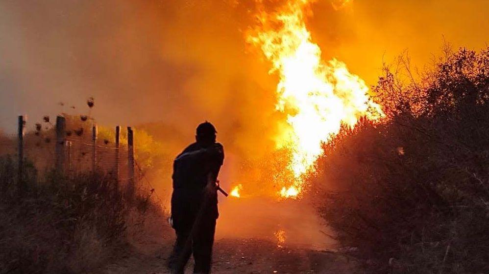 Algerian President Calls for Death Penalty as Wildfires Claim Lives