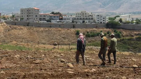 Lebanon Accuses Israel of Herbicide Spraying in Southern Villages