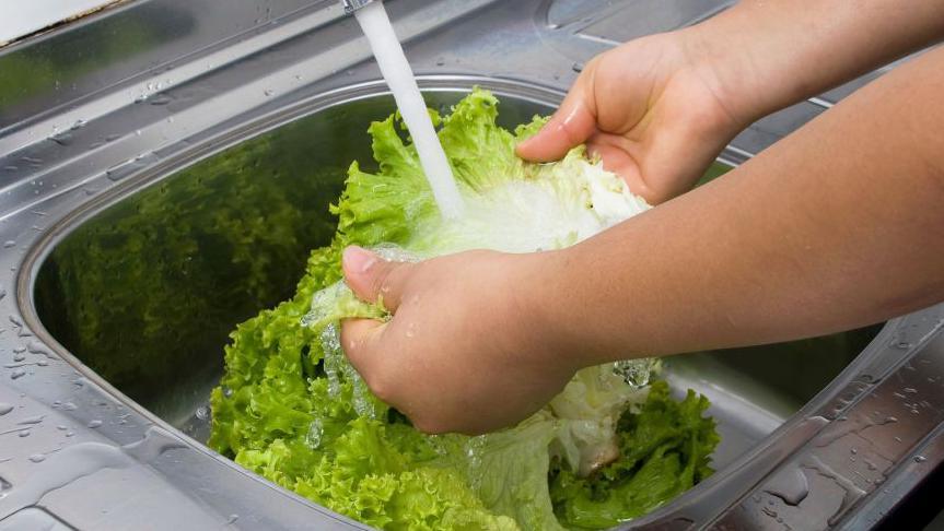 US Reports First Two Deaths From Cyclospora Outbreak, the "Explosive Diarrhoea" Contagion