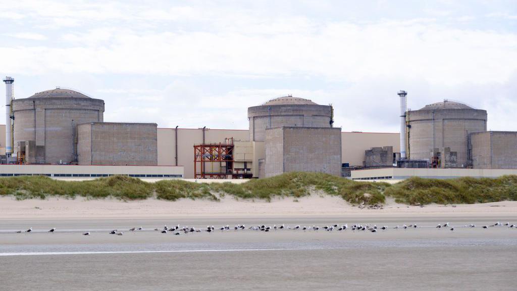 Jellyfish Swarms Throttle French Nuclear Plant