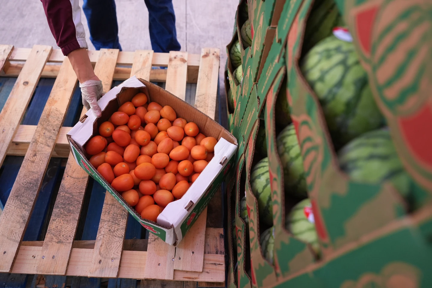 SNAP Food Aid Reductions Adjusted Amid Ongoing Government Shutdown