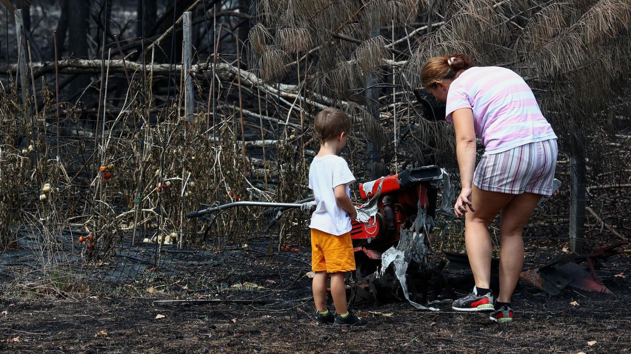 Wildfires Uncover 400 WWII Shells in French Village