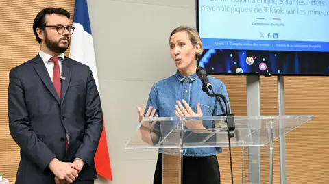 French Commission Urges Ban on Social Media for Children Under 15 Amid TikTok Concerns