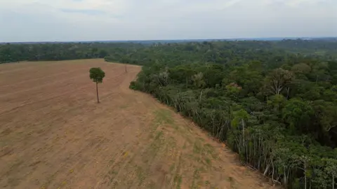 Threat to Brazil's Amazon: Key Protection Against Deforestation Under Fire