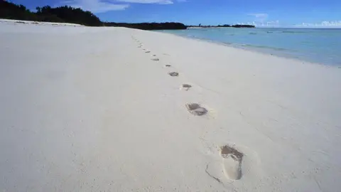 Assumption Island's Political Impact in Seychelles' Presidential Election