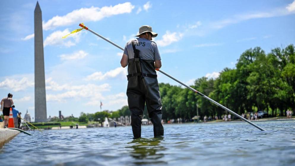 Trump vows immediate repairs to algae‑laden Reflecting Pool
