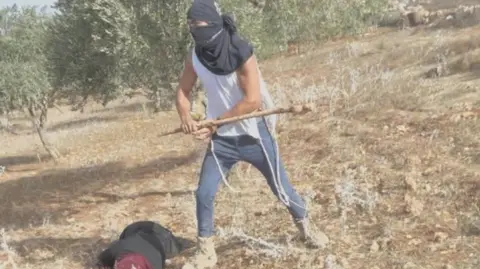 Violence Erupts as Israeli Settler Attacks Palestinian Woman During Olive Harvest