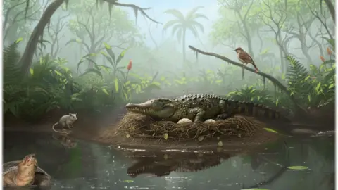 Unprecedented Discovery: Ancient Tree-Climbing Crocodiles Unearthed in Australia
