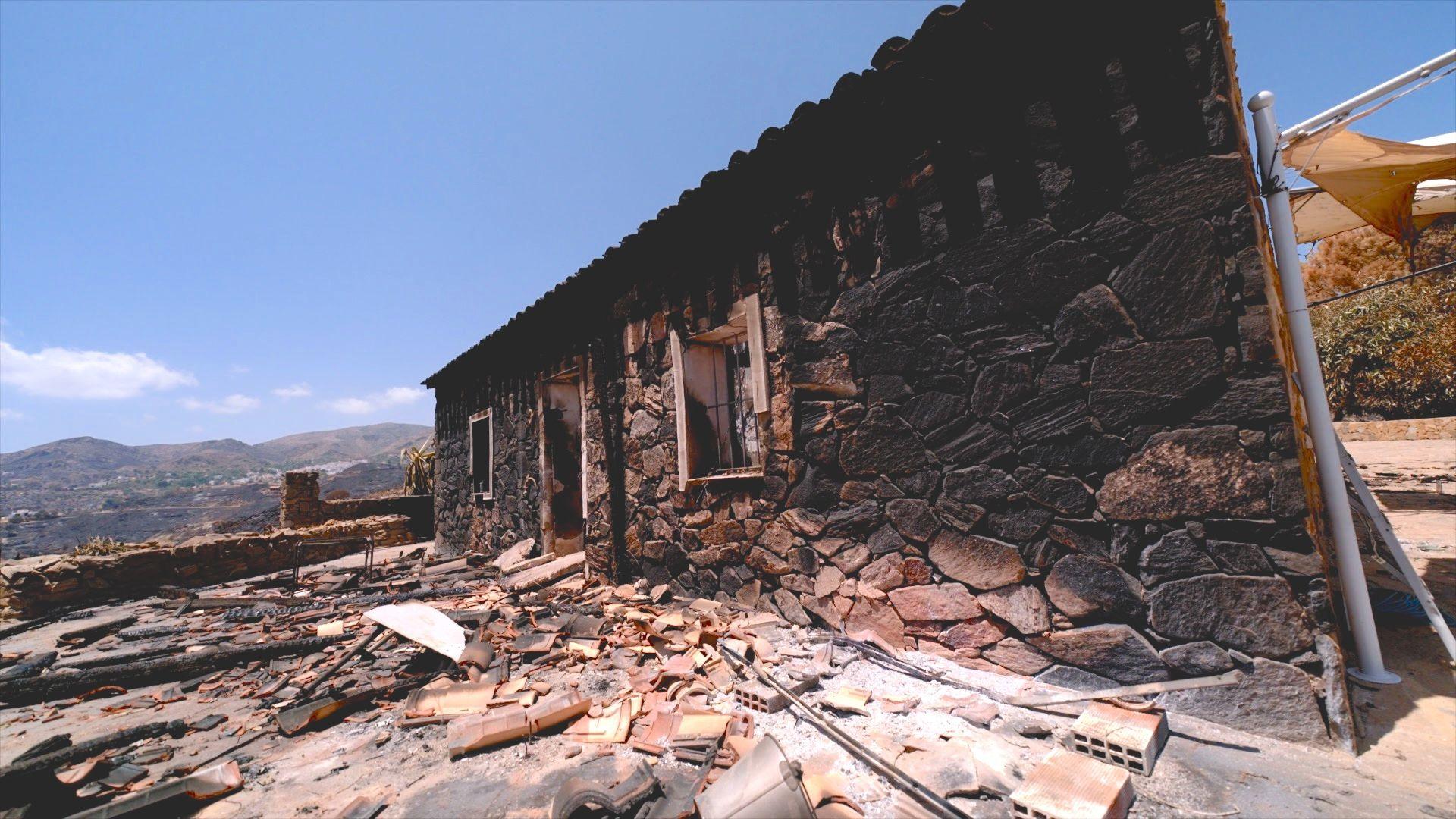charred landscape after wildfire