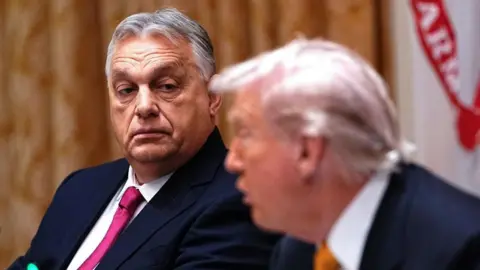 Orban's Washington Trip: Navigating Gains and Losses with Trump