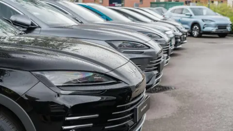 BYD Surpasses Tesla as Leading Electric Vehicle Seller Globally