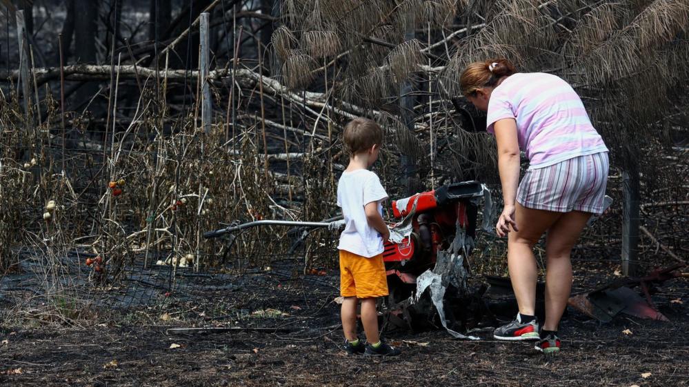 France Wildfires Uncover 400 WWII Munitions in Le Porge Village