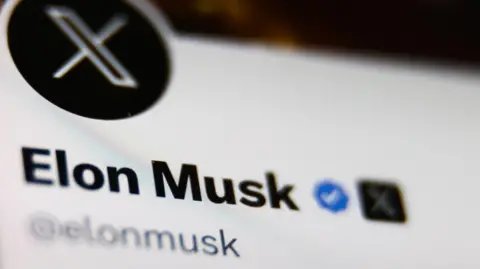US Fires Back at EU's Fine on Elon Musk's X Over Blue Ticks