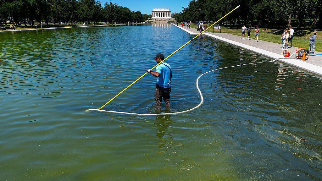 Olympian Arrested Amid Reflecting Pool Vandalism Allegations
