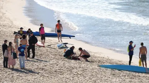 Woman Seriously Injured in Shark Attack at Sydney Coogee Beach