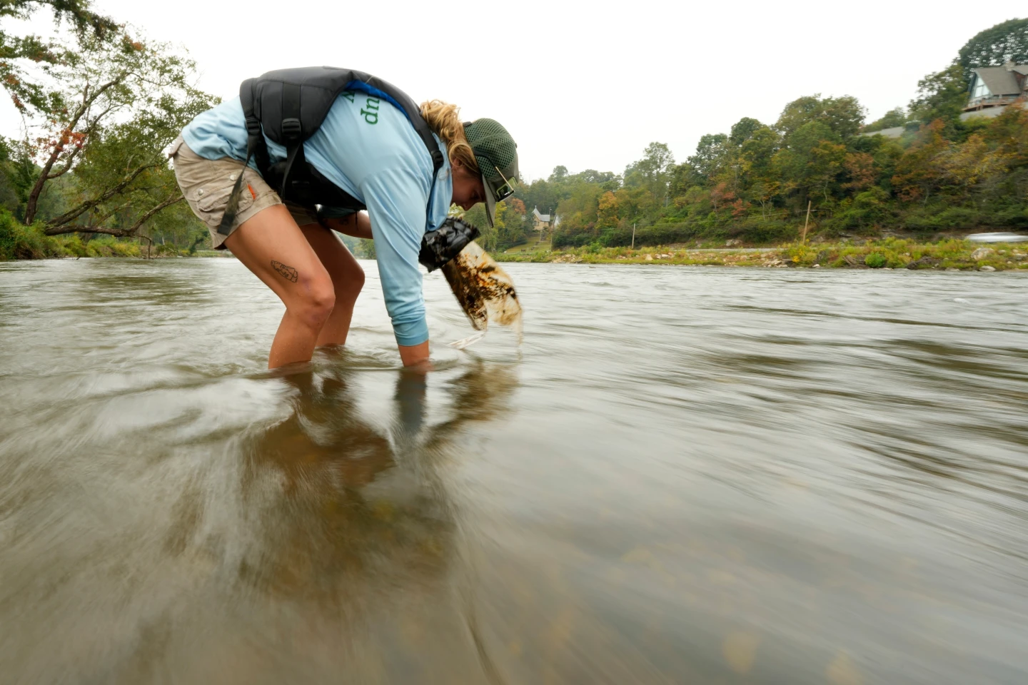 Cleaning Up After the Storm: The Long Road to Recovery in North Carolina
