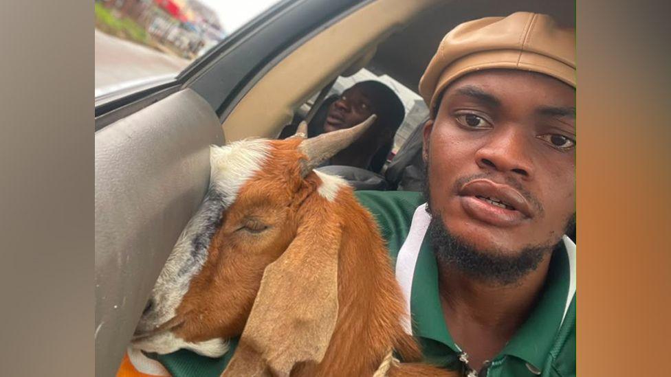 Goat, Graduation, and a Viral Moment: The Story Behind Nigeria’s Unexpected Gift