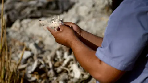 Justice Eludes Families of the Missing in Post-Assad Syria