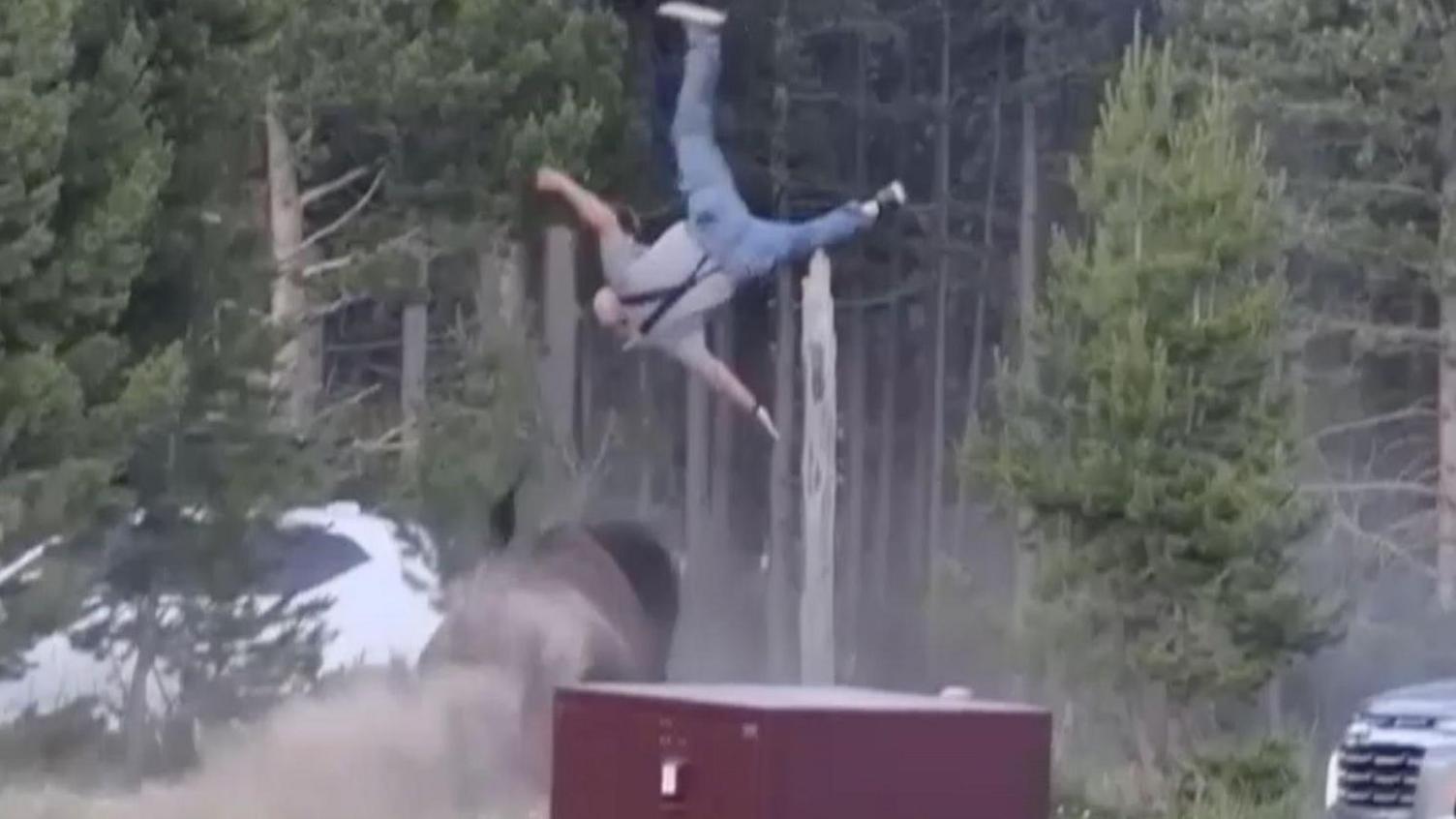 Bull Bison Hits Elderly Man in Yellowstone, Puts Him in the Air